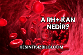 A Rh+ Kan Nedir?