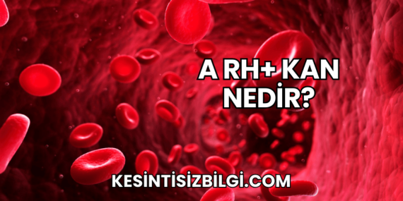 A Rh+ Kan Nedir?