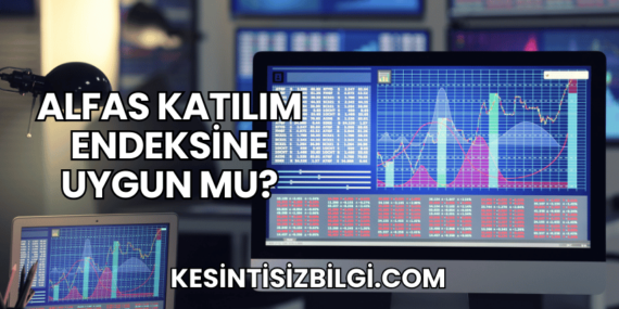 Alfas Katılım Endeksine Uygun mu?
