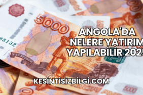 Angola'da Nelere Yatırım Yapılabilir 2025