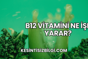 B12 Vitamini Ne İşe Yarar?