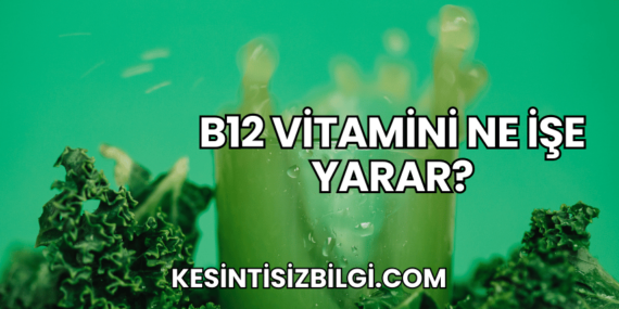 B12 Vitamini Ne İşe Yarar?