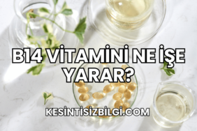 B14 Vitamini Ne İşe Yarar?