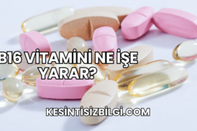 B16 Vitamini Ne İşe Yarar?