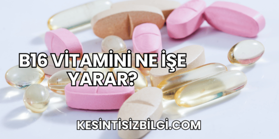 B16 Vitamini Ne İşe Yarar?