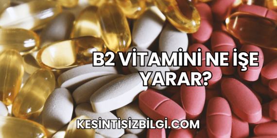 B2 Vitamini Ne İşe Yarar?