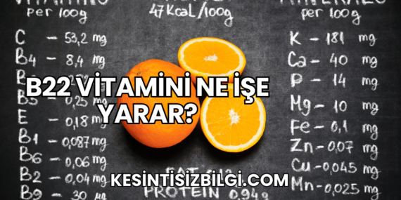 B22 Vitamini Ne İşe Yarar?