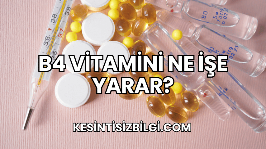 B4 Vitamini Ne İşe Yarar?