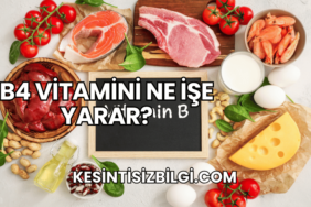 B4 Vitamini Ne İşe Yarar?