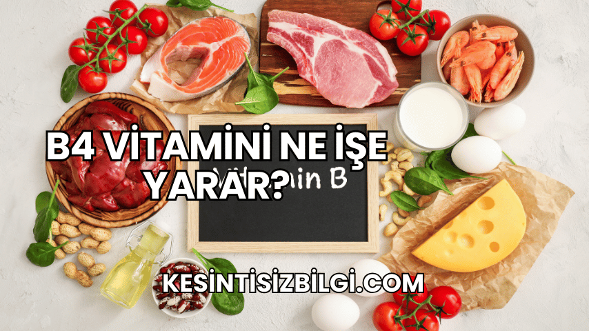 B4 Vitamini Ne İşe Yarar?
