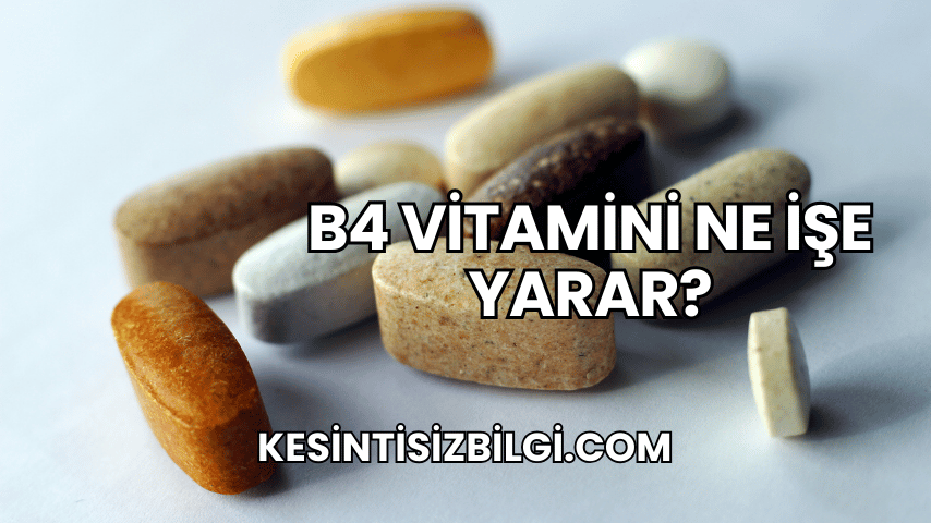 B4 Vitamini Ne İşe Yarar?