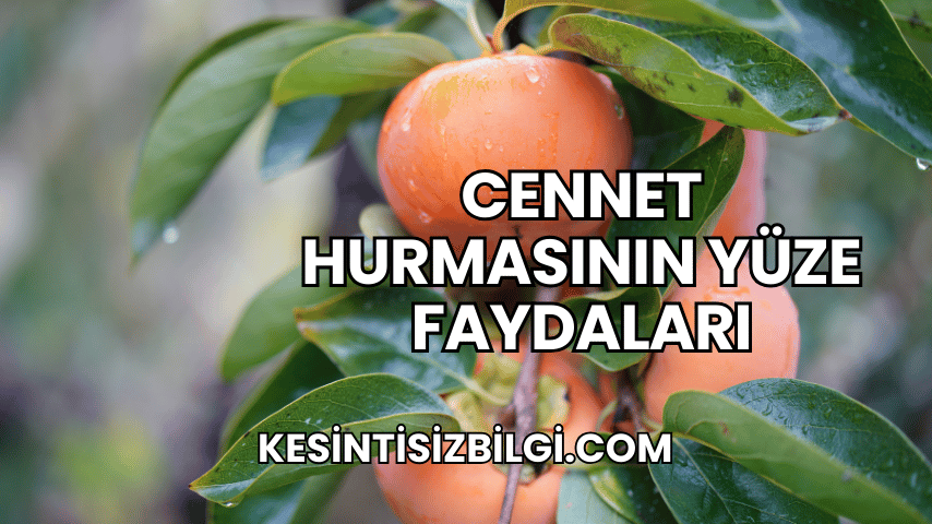 Cennet Hurmasının Yüze Faydaları