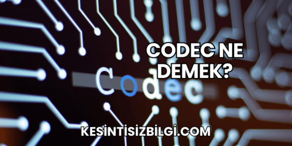 Codec Ne Demek?