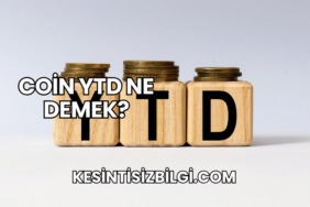 Coin YTD Ne Demek?
