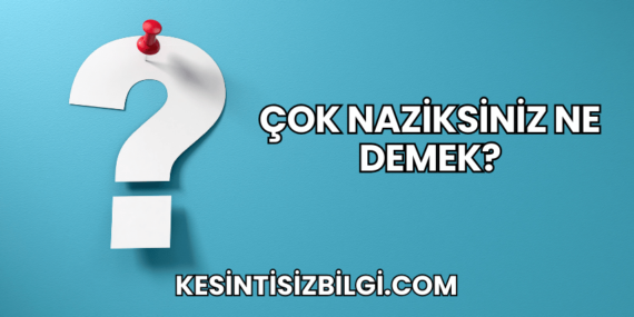 Çok Naziksiniz Ne Demek?