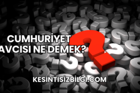 Cumhuriyet Savcısı Ne Demek?