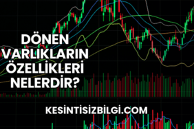 Dönen Varlıkların Özellikleri Nelerdir?