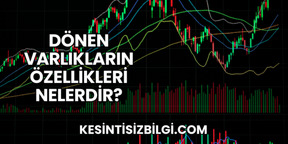Dönen Varlıkların Özellikleri Nelerdir?