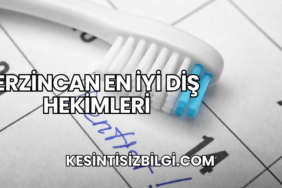 Erzincan En İyi Diş Hekimleri