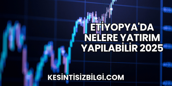 Etiyopya’da Nelere Yatırım Yapılabilir 2025