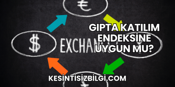 Gıpta Katılım Endeksine Uygun mu?