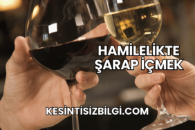 Hamilelikte Şarap İçmek