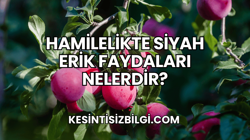 Hamilelikte Siyah Erik Faydaları Nelerdir?