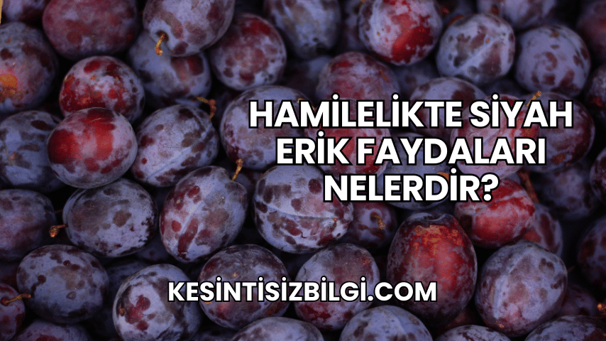 Hamilelikte Siyah Erik Faydaları Nelerdir?