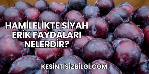 Hamilelikte Siyah Erik Faydaları Nelerdir?