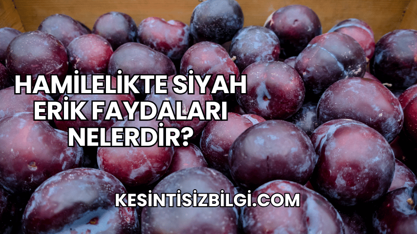 Hamilelikte Siyah Erik Faydaları Nelerdir?