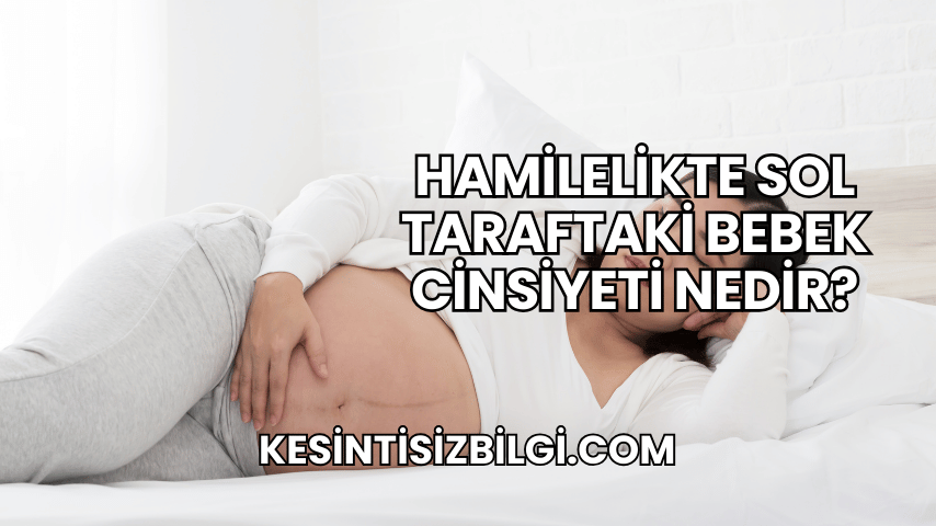 Hamilelikte Sol Taraftaki Bebek Cinsiyeti Nedir?