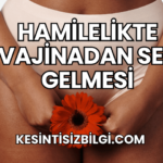Hamilelikte Vajinadan Ses Gelmesi