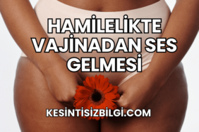 Hamilelikte Vajinadan Ses Gelmesi