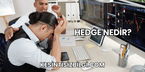Hedge Nedir?