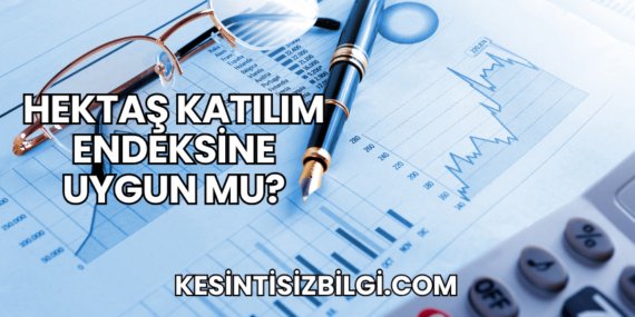 Hektaş Katılım Endeksine Uygun mu?