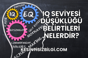 IQ Seviyesi Düşüklüğü Belirtileri Nelerdir?