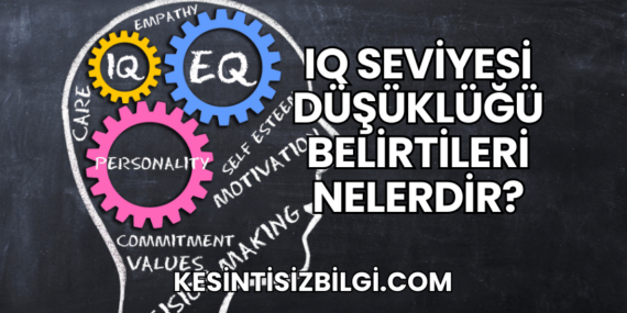IQ Seviyesi Düşüklüğü Belirtileri Nelerdir?