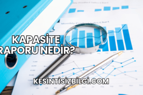 Kapasite Raporu Nedir?