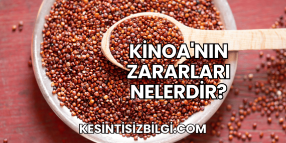 Kinoa’nın Zararları Nelerdir?