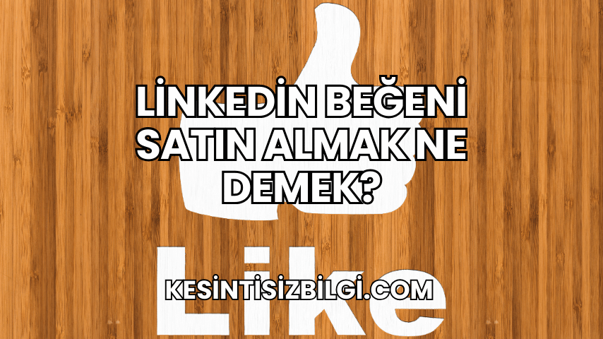Linkedin Beğeni Satın Almak Ne Demek?