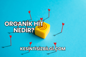 Organik Hit Nedir?