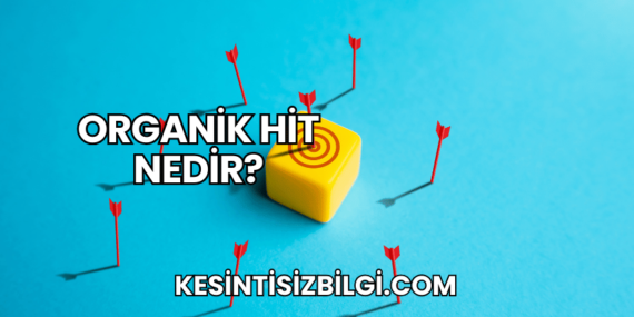 Organik Hit Nedir?