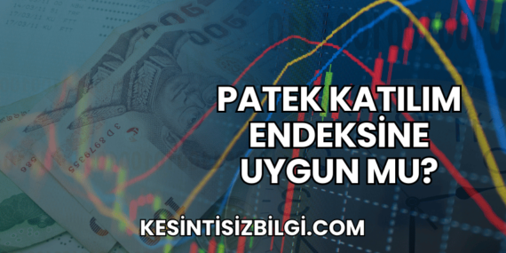 Patek Katılım Endeksine Uygun mu?