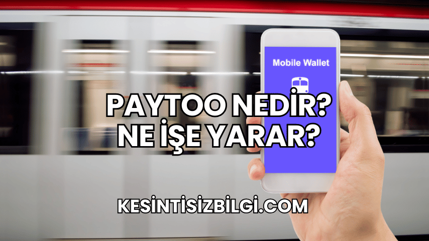 PayToo Nedir? Ne İşe Yarar?