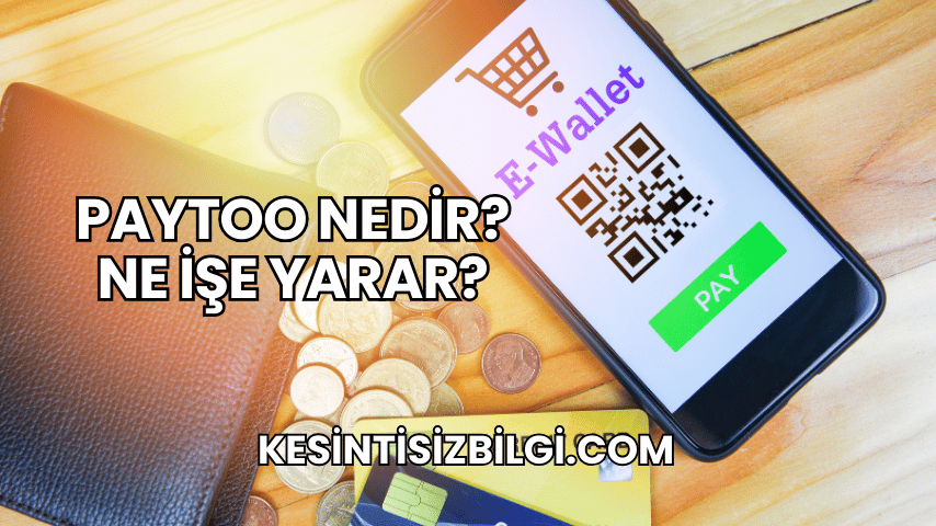 PayToo Nedir? Ne İşe Yarar?