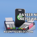 Payeer Nedir? Ne İşe Yarar?