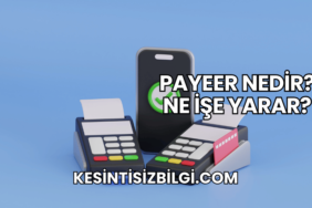 Payeer Nedir? Ne İşe Yarar?