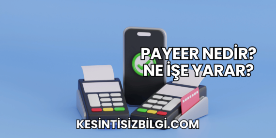 Payeer Nedir? Ne İşe Yarar?