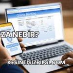 Payza Nedir?