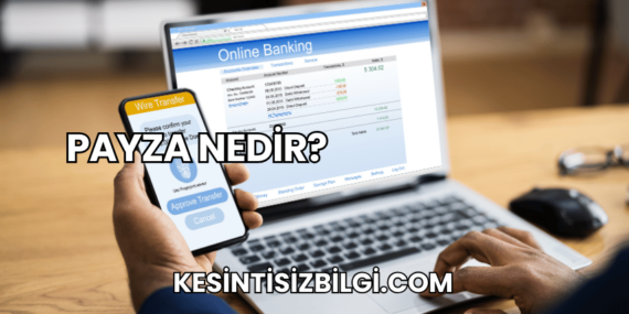 Payza Nedir?